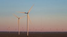 Imagen de Puerto Madryn: culminó el montaje de 56 aerogeneradores para uno de los parques eólicos más importantes del país