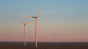 Puerto Madryn: culminó el montaje de 56 aerogeneradores para uno de los parques eólicos más importantes del país