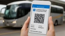 Imagen de Certificado Único de Discapacidad: reservá tus pasajes gratis en micros de larga distancia fácilmente