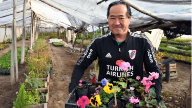 La familia que llegó desde Japón, apostó por la Patagonia y hoy mantiene viva una tradición entre flores e invernaderos