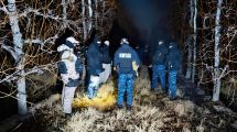 Imagen de Abigeato agravado en Río Negro: cumplirá prisión preventiva por robar y faenar dos caballos de carrera