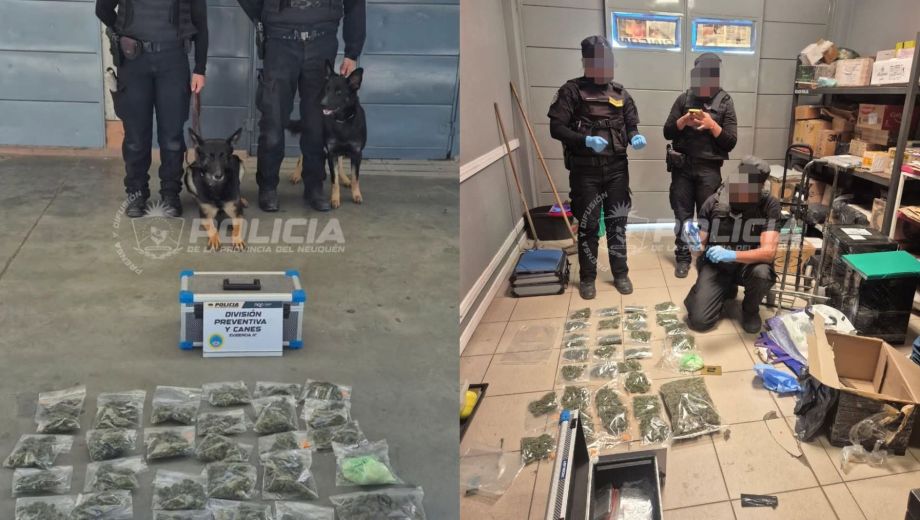 Los animales especializados participaron en controles realizados en terminales, espacios públicos y empresas de transporte de la región.

