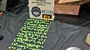 Golpe al narcomenudeo en Cutral Co: tres allanamientos, 300 dosis de cocaína y $5 millones incautados