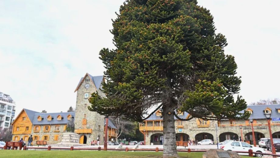 El hombre recibió una condena por el delito de tráfico de estupefacientes en la modalidad de
tenencia de tales sustancias con fines de comercialización en Bariloche.