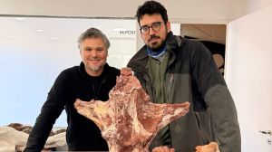 El gigante de Añelo: investigan si el dinosaurio encontrado en Neuquén en 2023 es una nueva especie mundial