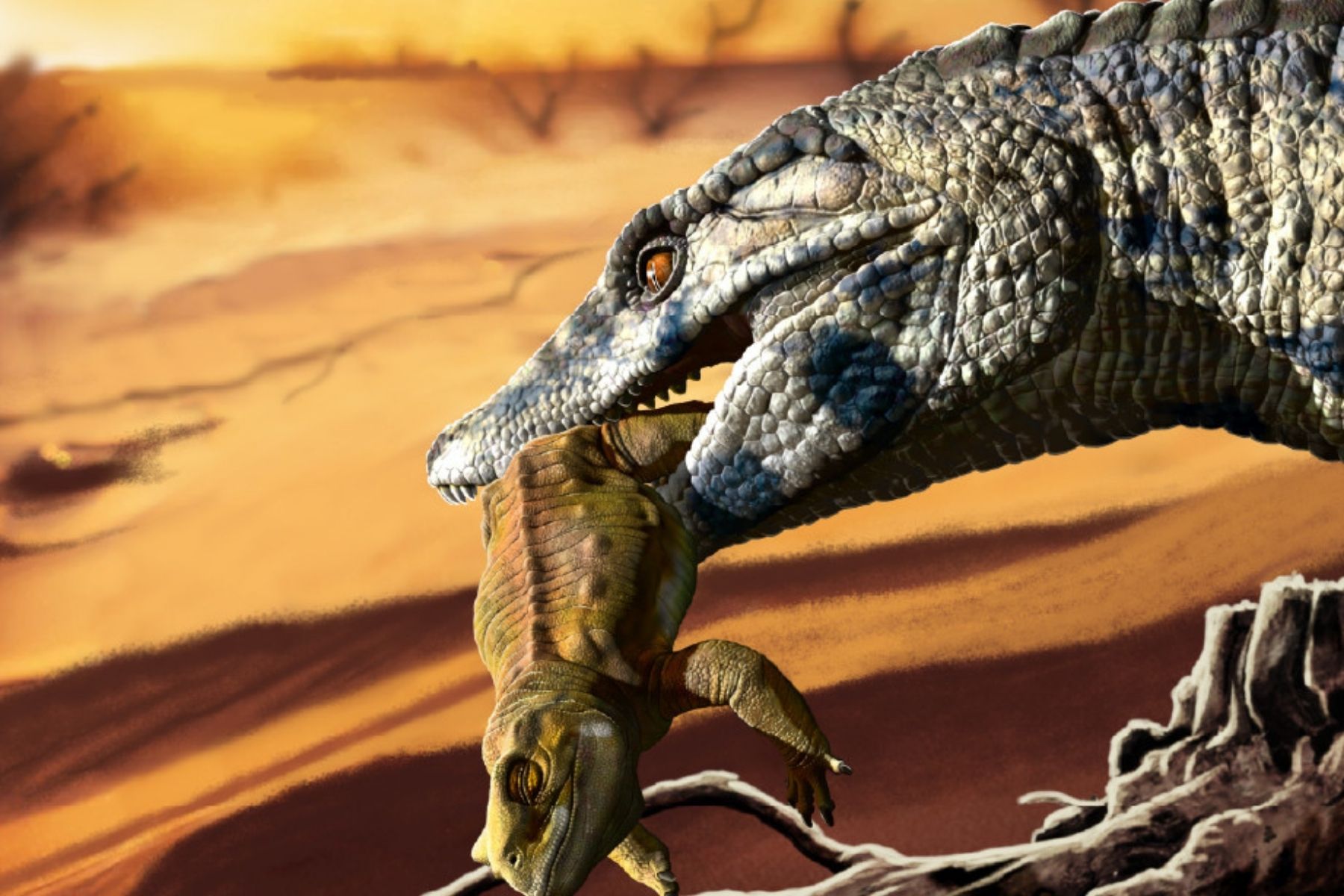They discover in Río Negro a new species of land crocodile that lived over 100 million years ago