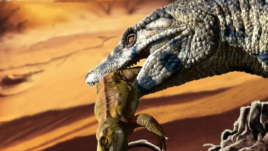 Reconstrucción de Antusuchus rionegrinus, una nueva especie de cocodrilo terrestre que vivió en los antiguos desiertos de la Patagonia hace más de 100 millones de años. Ilustración Jorge González. 