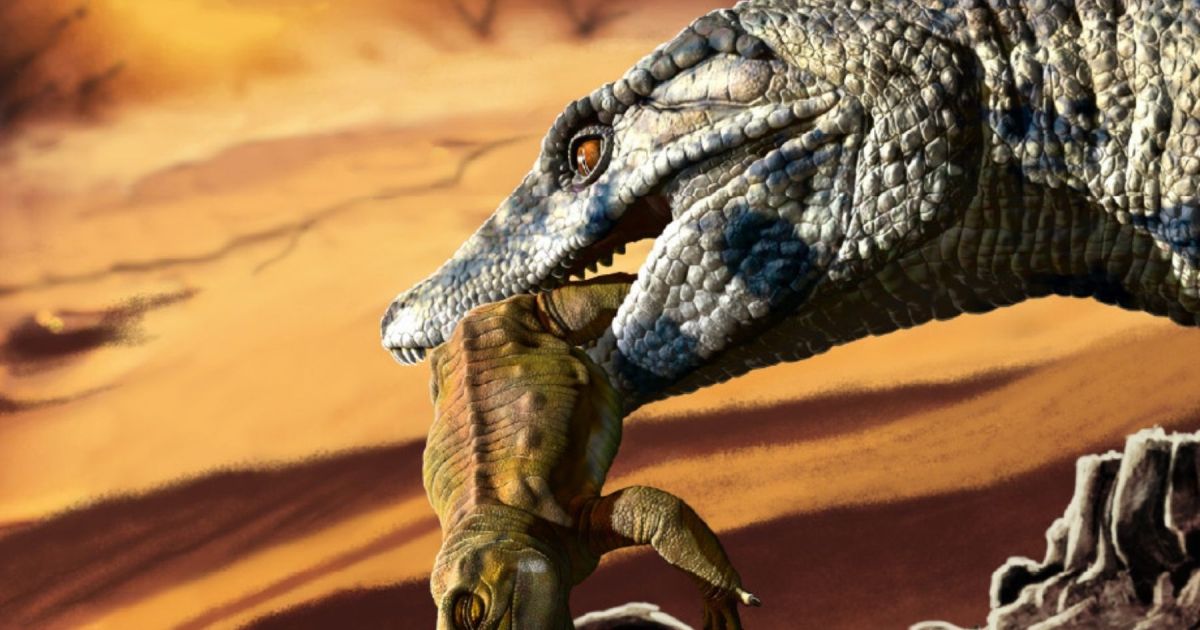 They discover in Río Negro a new species of land crocodile that lived over 100 million years ago