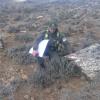 Imagen de Compró un campo y encontró un bosque petrificado en Pilcaniyeu: la historia detrás del hallazgo