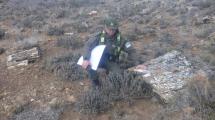 Imagen de Compró un campo y encontró un bosque petrificado en Pilcaniyeu: la historia detrás del hallazgo