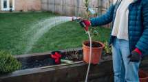 Imagen de Cómo regar tus plantas en invierno sin riesgo: consejos para mantenerlas saludables