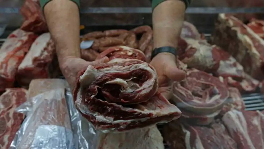 Carne vacuna. El consumo es el más bajo en 20 años (Foto: Juan Thomes).