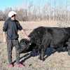 Imagen de Un tropiezo y volver a empezar con 16 vacas madres, el plan de un joven productor de Roca para construir una ganadería integrada