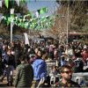 Imagen de Feria Semilla se viste de Mundial en Cipolletti: paella gigante, intercambio de figuritas y tres días de fiesta