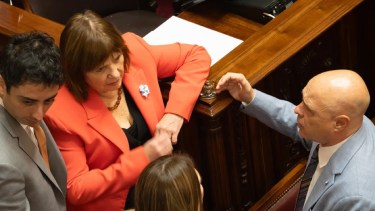 El Senado doblegó a Javier Milei y aprobó a María Verónica Michelli como jueza: Patricia Bullrich se abstuvo
