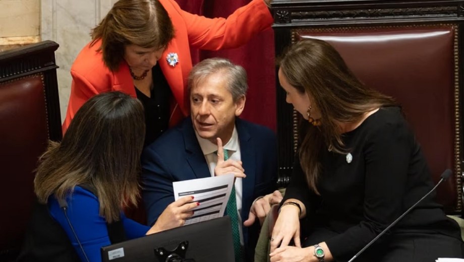Senado. Foto: NA 