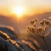 Imagen de Llega el invierno: este domingo se producirá el solsticio que dará inicio a la estación más fría del año