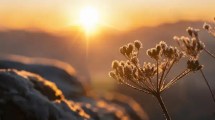 Imagen de Llega el invierno: este domingo se producirá el solsticio que dará inicio a la estación más fría del año