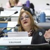 Imagen de Río Negro: el "arraigo local" otorgará mayor puntaje a los docentes