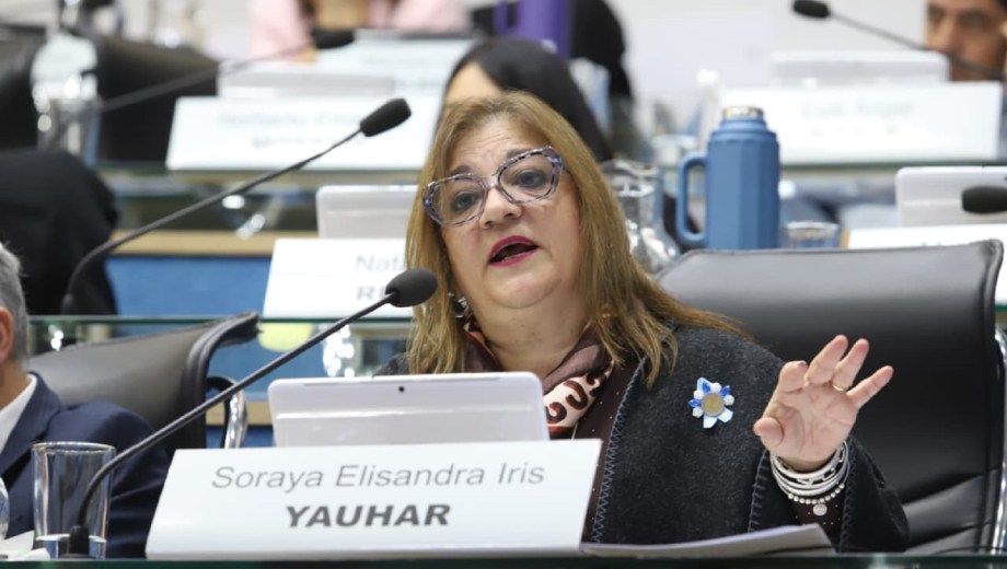 Legisladora Soraya Yahuar, autora del proyecto de puntaje docente. Foto: Marcelo Ochoa