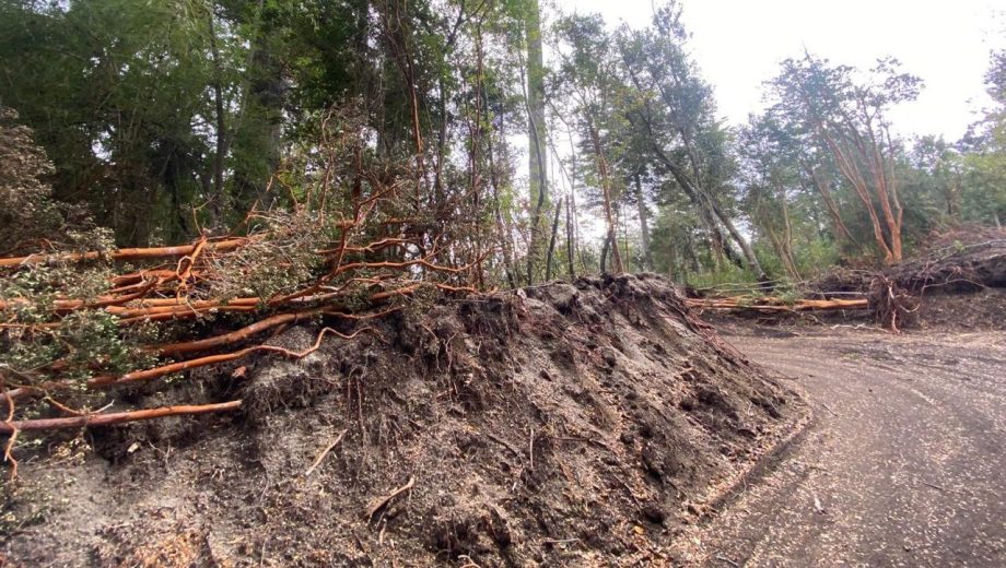 Además de la sanción de casi 67 millones de pesos, el municipio exigió un plan de recomposición ambiental. Foto: gentileza.