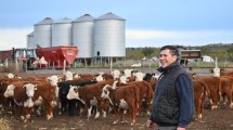 Imagen de «Nunca pensé llegar a esto»: fue electricista en Chubut, cosechador en el Alto Valle y hoy es el «padre» de un campo ganadero en Río Negro
