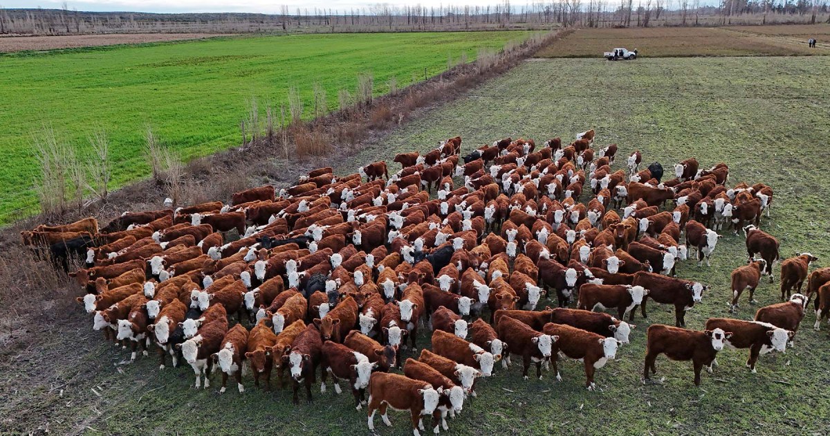 Río Negro avanza en desarrollo rural y energético con apoyo del BID