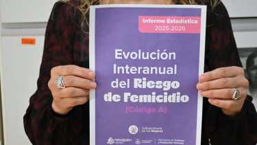 Violencia de género en Neuquén: registraron 54 casos con riesgo de femicidio en cinco meses