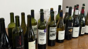 Los 10 vinos íconos de la Patagonia: esto son los recién elegidos por 30 enólogos de la región
