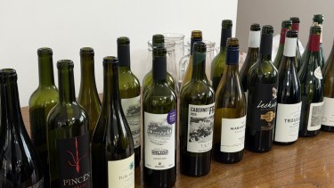 Los 10 vinos íconos de la Patagonia: esto son los recién elegidos por 30 enólogos de la región