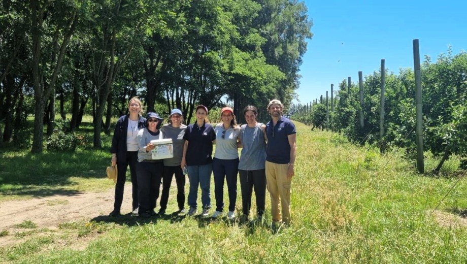 Productores y técnicos durante la recepción del primer envío. Uruguay diciembre de 2025. Foto: Gentileza. 