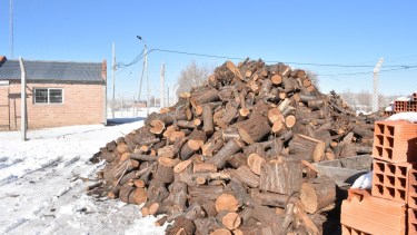 Plan Calor Leña: Río Negro inicia el monitoreo en la Región Sur para asistir a más de 2.200 familias