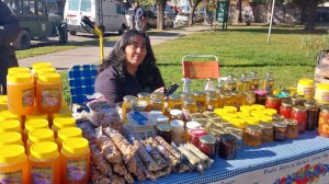 De una colmena regalada a producir mieles únicas en la Patagonia, una apuesta por la apicultura agroecológica