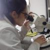 Imagen de Lucía Jara Masías, la joven de Pomona que publicó una investigación científica sobre peces del río Negro