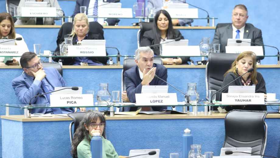 La iniciativa fue impulsada por la legisladora de JSRN Maricel Cévoli y elaborada junto a la legisladora de CC-ARI Daniela Agostino. Foto: Marcelo Ochoa.