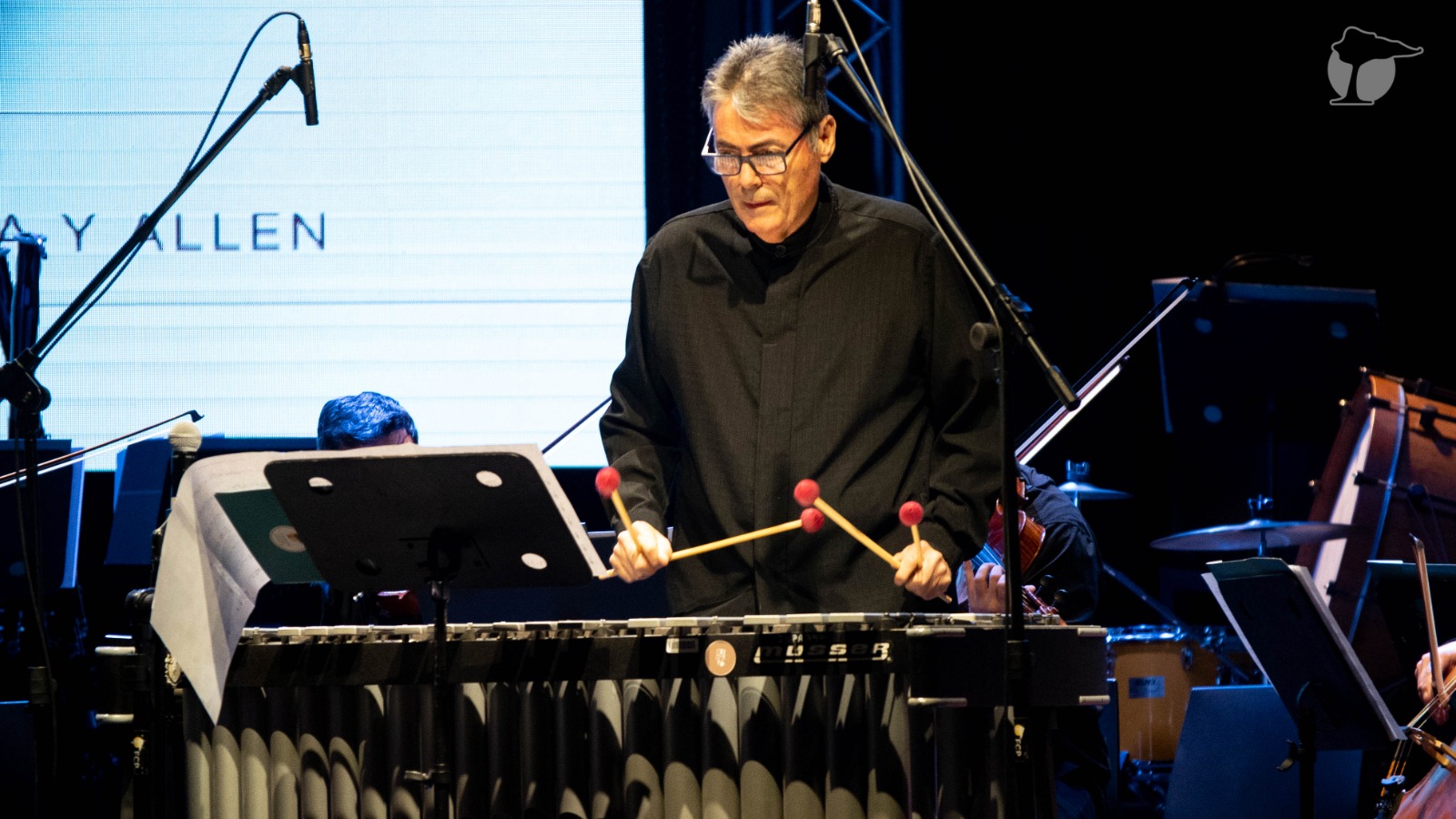 Festival Internacional de Percusión, teatro y más música: los espectáculos del fin de semana en Neuquén, Cipolletti y Roca