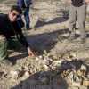 Imagen de Río Negro protagoniza el rescate de su propio patrimonio paleontológico: el aviso de un productor rural permitió descubrir un valioso yacimiento de fósiles