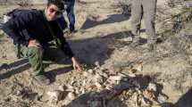 Imagen de El aviso de un productor rural permitió descubrir un valioso yacimiento de fósiles en Río Negro