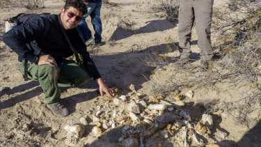 El aviso de un productor rural permitió descubrir un valioso yacimiento de fósiles en Río Negro