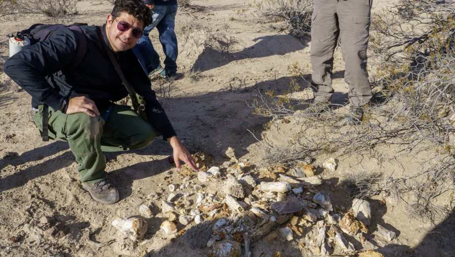 El hallazgo fue a unos 80 kilómetros de Sierra Colorada. Foto: gentileza