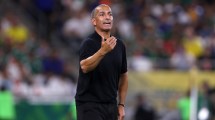Imagen de Técnicos echados: cuando el banco se incendia con el Mundial en marcha