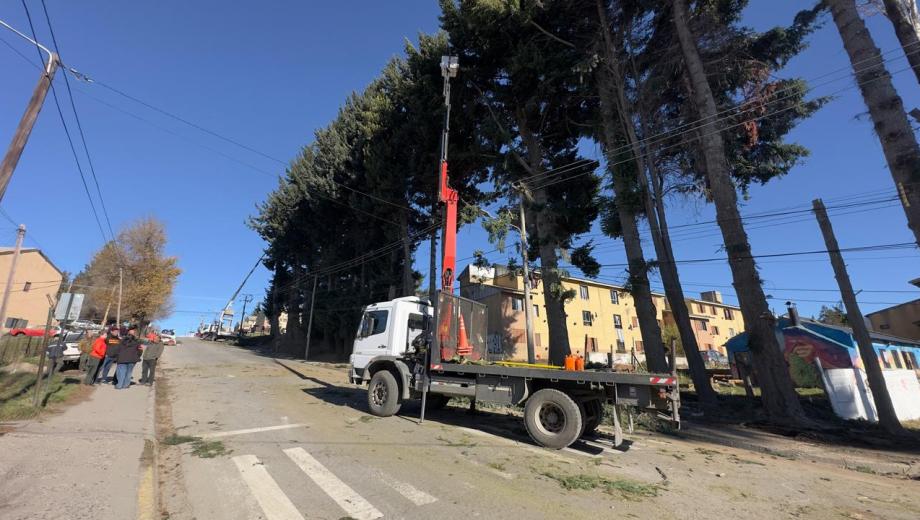Los pinos de la calle Beschtedt comenzaron a ser intervenidos el fin de semana. Gentileza