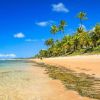 Imagen de Tiene piscinas naturales, aguas cristalinas y vuelos directos: el paraíso de Brasil que enamora a los argentinos