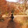 Imagen de El rincón de la Patagonia donde el otoño es protagonista y se vive a caballo entre bosques de colores