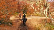 Imagen de Explorar San Martín de los Andes en mágicas cabalgatas que revelan el esplendor del otoño