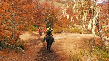 Explorar San Martín de los Andes en mágicas cabalgatas que revelan el esplendor del otoño