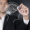 Imagen de Todo hombre, si se lo propone, puede ser escultor de su propio cerebro