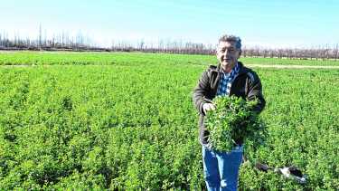 El productor que hizo horticultura y fruticultura durante años en Valle Medio, hasta que encontró su cultivo ideal para poder planificar y crecer