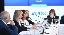 Imagen de El Senado trata el pliego para designar otro cargo del fuero Federal en Río Negro