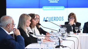 El Senado trata el pliego para designar otro cargo del fuero Federal en Río Negro